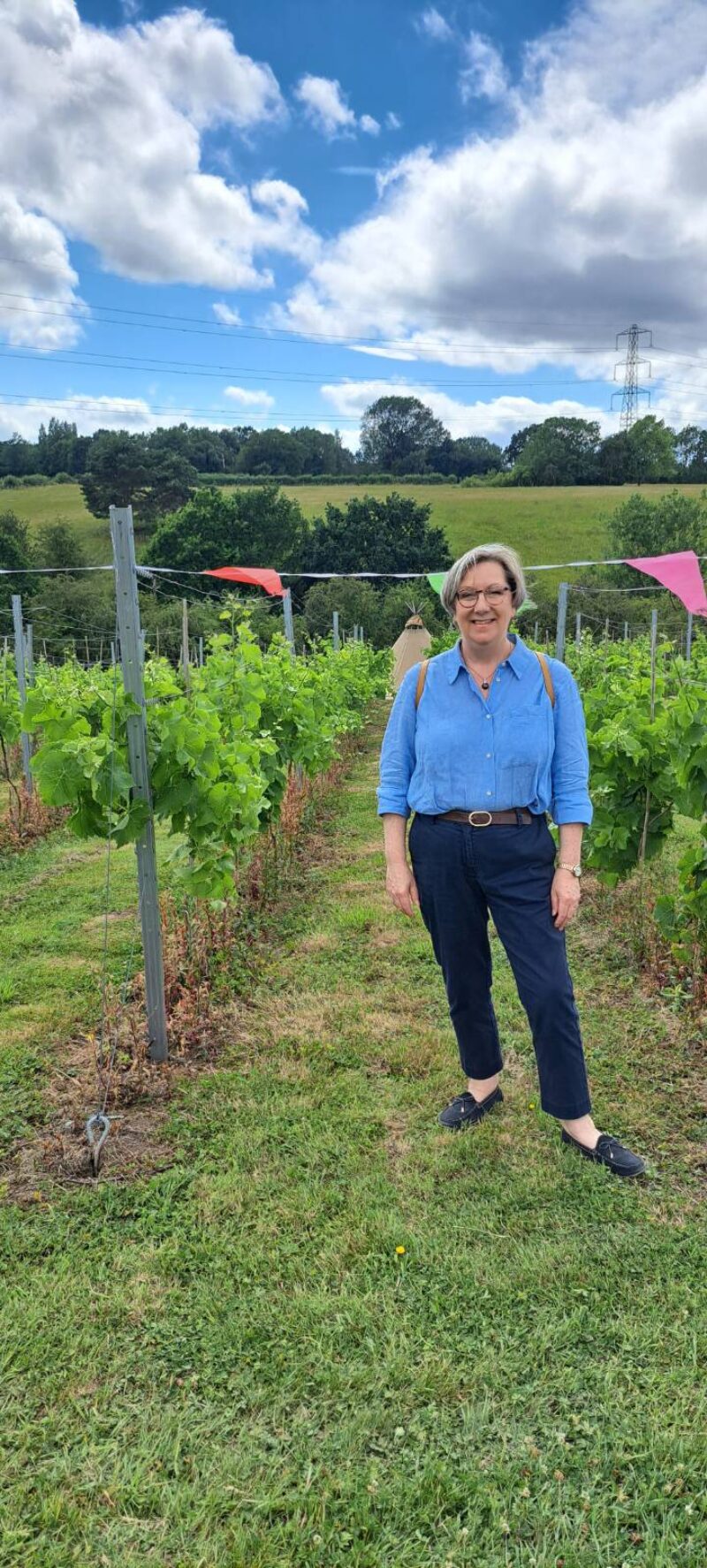Vines of Cheshire