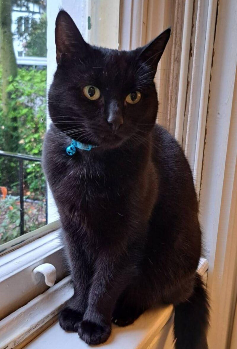 Sam